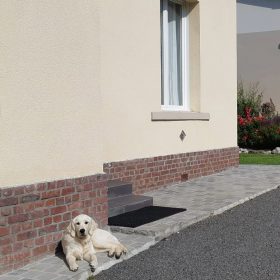 Chien couché devant la maison de vacances Villa Chantebrise, location acceptant les chiens